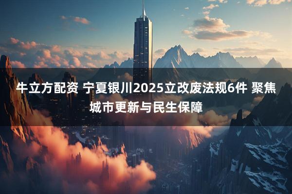 牛立方配资 宁夏银川2025立改废法规6件 聚焦城市更新与民生保障
