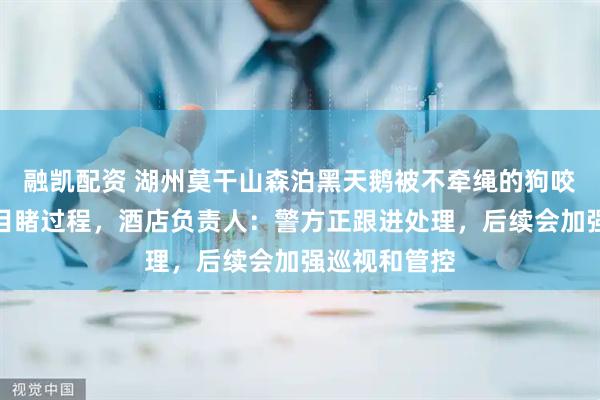 融凯配资 湖州莫干山森泊黑天鹅被不牵绳的狗咬死，有孩子目睹过程，酒店负责人：警方正跟进处理，后续会加强巡视和管控